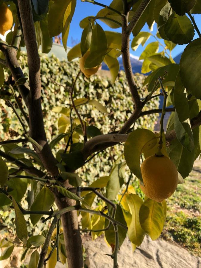 Agriturismo Cavria Castione Andevenno Zewnętrze zdjęcie