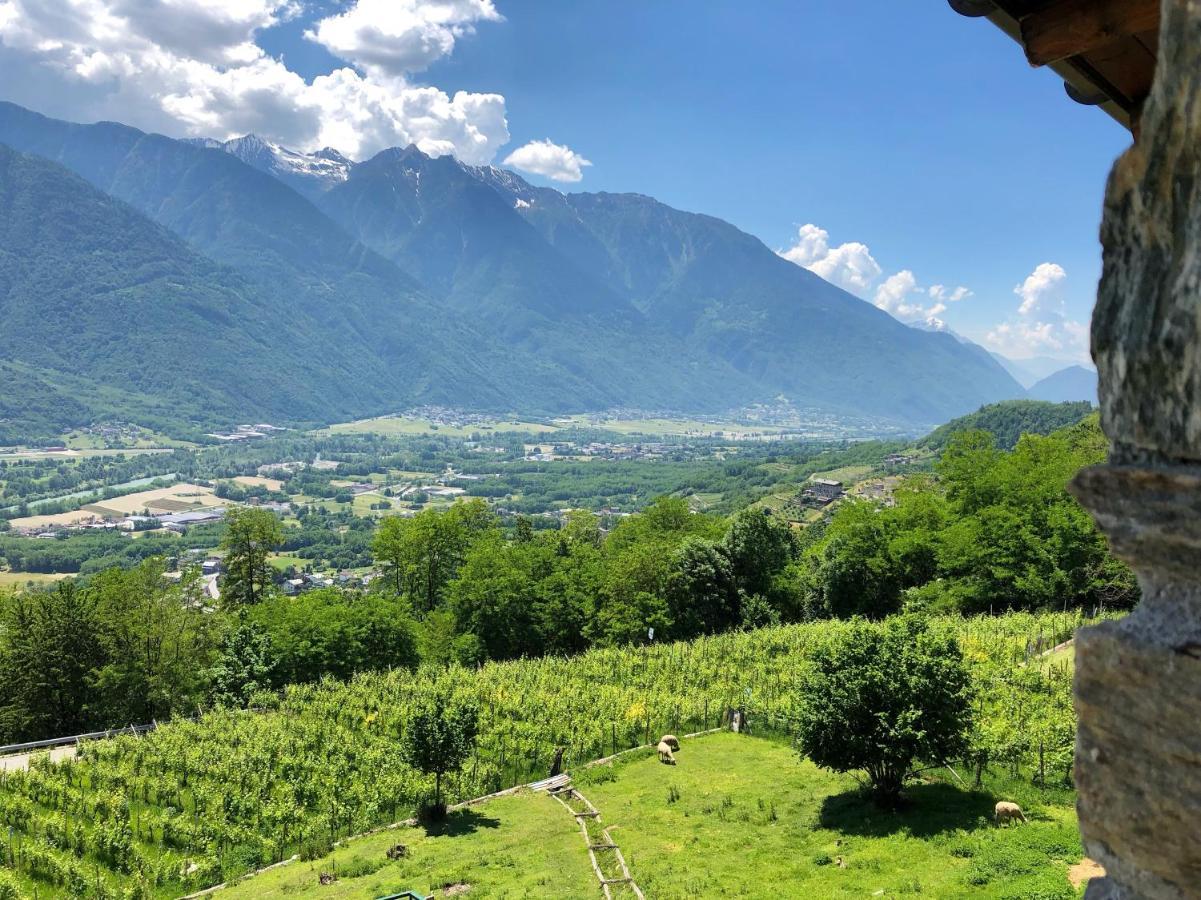 Agriturismo Cavria Castione Andevenno Zewnętrze zdjęcie